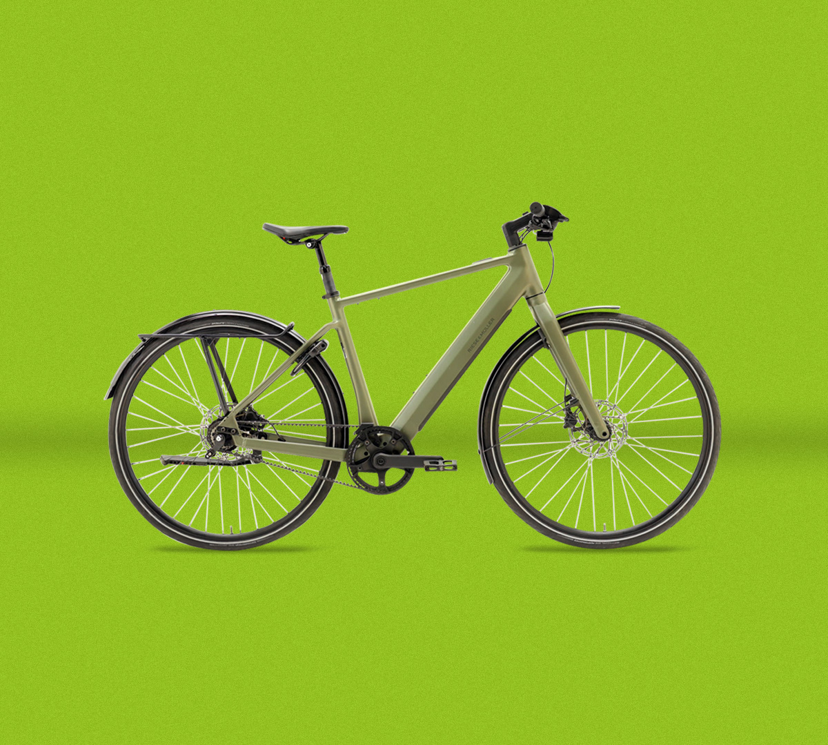 Riese & Müller UBN Five Silent vor grünem Hintergrund