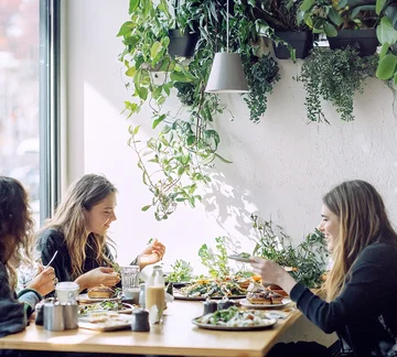 Drei Frauen sitzen an einem Tisch in einem hellen Café oder Pausenraum und essen gemeinsam zu Mittag. Auf dem Tisch stehen mehrere Teller mit Speisen und Getränke, im Hintergrund hängen Pflanzen an der Wand und ein großes Fenster sorgt für Tageslicht.