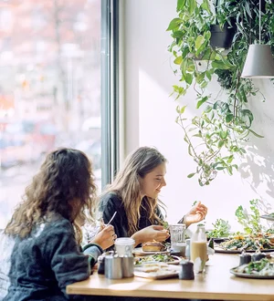 Drei Frauen sitzen an einem Tisch in einem hellen Café oder Pausenraum und essen gemeinsam zu Mittag. Auf dem Tisch stehen mehrere Teller mit Speisen und Getränke, im Hintergrund hängen Pflanzen an der Wand und ein großes Fenster sorgt für Tageslicht.