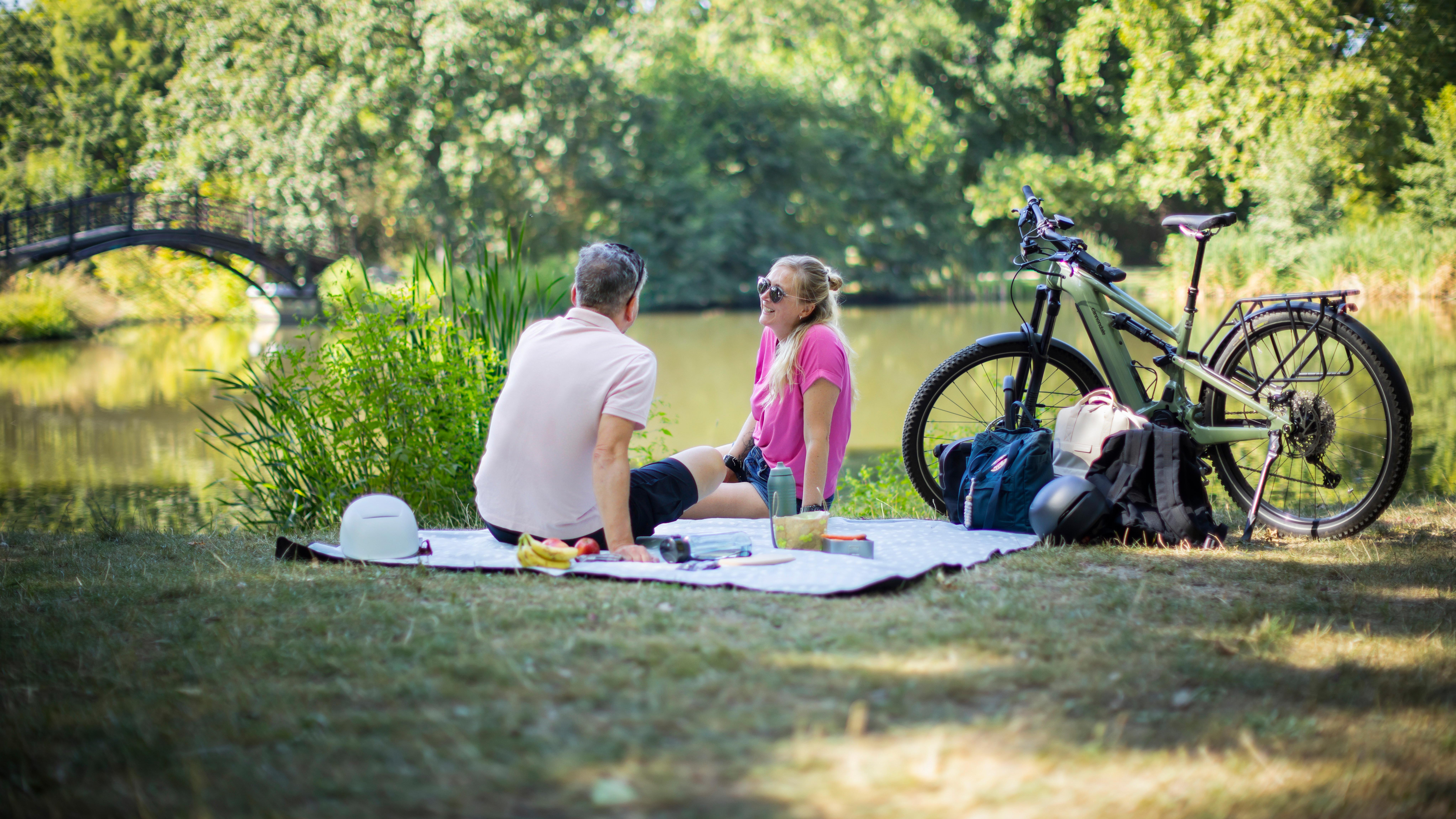 Mann und Frau mit Rädern bei Picknick im Park