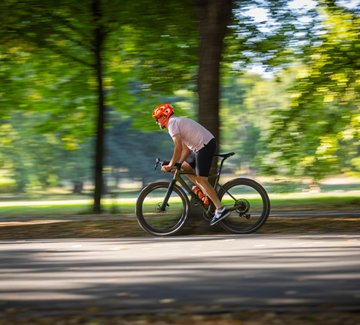 Mann auf Rennrad in Allee
