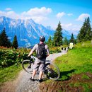 Porträtfoto von Andreas Eisenträger, Angestellter, MM Express