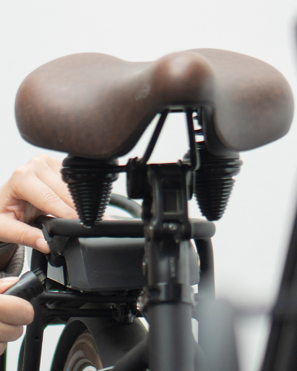 Frau baut Akku eines eBikes aus